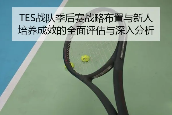 TES战队季后赛战略布置与新人培养成效的全面评估与深入分析